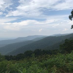 Meet your Posher, Lacie